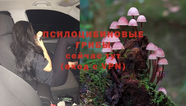 MDMA Алексеевка