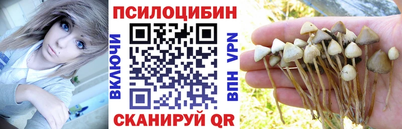 Псилоцибиновые грибы Psilocybe  Каневская 